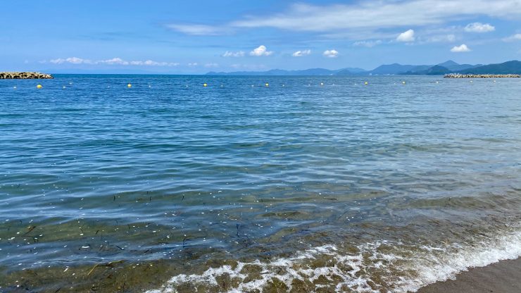 夏